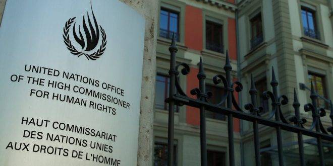 В ООН зафиксировано 450 случаев пыток над задержанными во время белорусских протестов