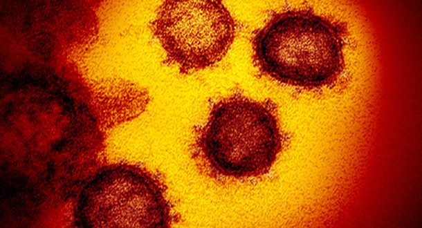 Иммунолог назвал способы личной защиты от коронавируса