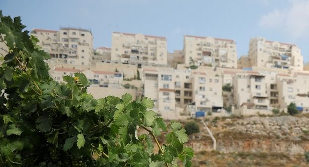 «Из огня в полымя»: рынок недвижимости Израиля в период коронавируса