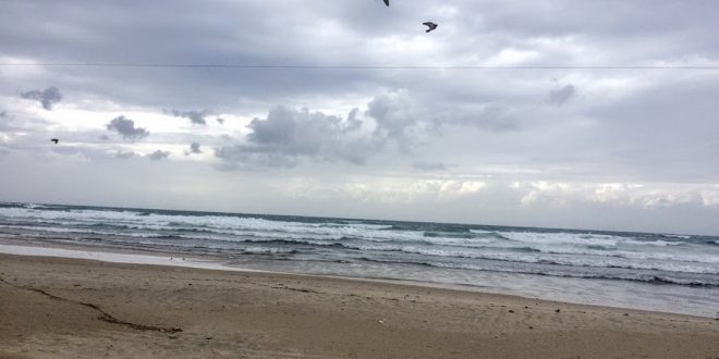 Погода в Израиле: прохладно и немного дождливо