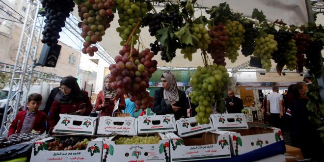 В Израиле подросли цены на фрукты и овощи и упали на вторичное жилье