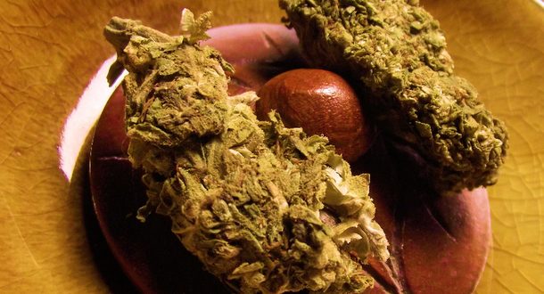 Легализация в Израиле рекреационной марихуаны откроет огромный рынок сбыта внутри страны