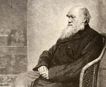 Две рукописи Дарвина пропали из Кембриджского университета, вероятно, еще 20 лет назад