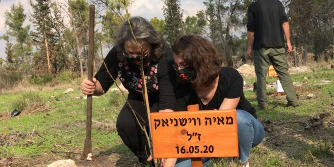 В Израиле посадили 20 деревьев в память о жертвах домашнего насилия