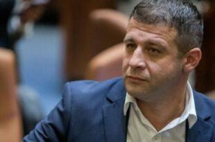 Они — агенты хаоса на службе у человека…