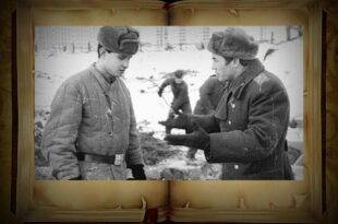Почему в 1955 году в Советской армии имели место солдатские восстания?