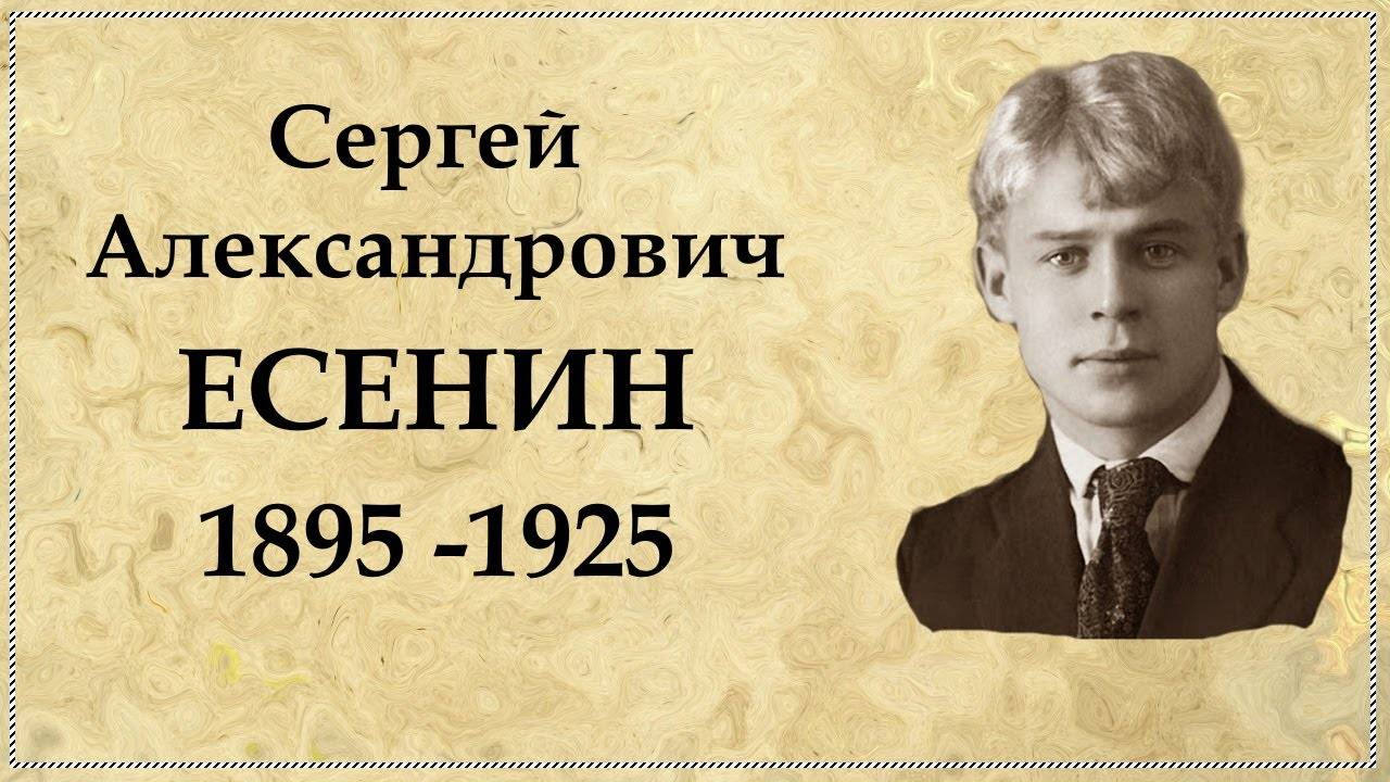 Почему Сергей Есенин стал любимым поэтом? — Ришоним — Новости Израиля и  мира — Новостной портал rishonim.info