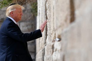 Выдвижение кандидатур Трампа — это «большой средний палец» антиизраильским прогрессистам