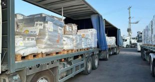 Поставки гумпомощи в Газу: сколько ввезено, сколько разграблено