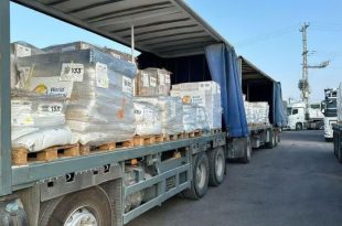 Поставки гумпомощи в Газу: сколько ввезено, сколько разграблено
