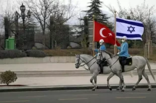 Израиль обеспокоен действиями Турции в Сирии